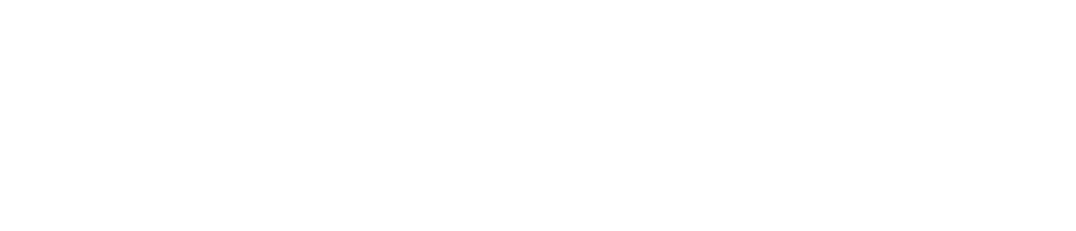 Speed